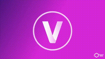 VivaTeam 2023 introduction